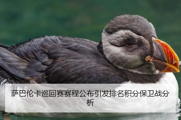 萨巴伦卡巡回赛赛程公布引发排名积分保卫战分析